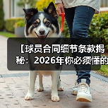 球员合同细节条款:揭秘背后隐藏的那些秘密-图9 球员合同细节条款:揭秘背后隐藏的那些秘密-图9