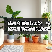 球员合同细节条款:揭秘背后隐藏的那些秘密-图5 球员合同细节条款:揭秘背后隐藏的那些秘密-图5