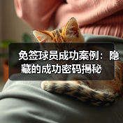 免签球员成功案例:揭秘零障碍腾飞的秘密之路-图11 免签球员成功案例:揭秘零障碍腾飞的秘密之路-图11