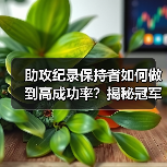 助攻纪录保持者如何做到高成功率？揭秘冠军训练秘诀-图4