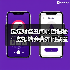 足坛财务丑闻真相:奖金背后隐藏的金钱黑洞-图15 足坛财务丑闻真相:奖金背后隐藏的金钱黑洞-图15