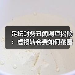 足坛财务丑闻真相:奖金背后隐藏的金钱黑洞-图18 足坛财务丑闻真相:奖金背后隐藏的金钱黑洞-图18