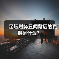 足坛财务丑闻真相:奖金背后隐藏的金钱黑洞-图9 足坛财务丑闻真相:奖金背后隐藏的金钱黑洞-图9