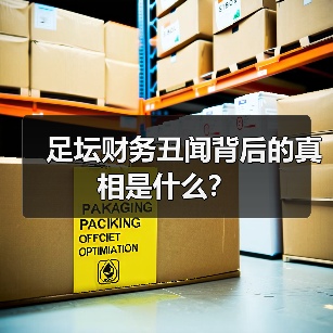 足坛财务丑闻真相:奖金背后隐藏的金钱黑洞-图11 足坛财务丑闻真相:奖金背后隐藏的金钱黑洞-图11