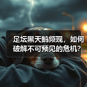 足坛黑天鹅频现,如何破解不可预见的危机?-图4 足坛黑天鹅频现,如何破解不可预见的危机?-图4