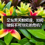 足坛黑天鹅频现,如何破解不可预见的危机?-图5 足坛黑天鹅频现,如何破解不可预见的危机?-图5