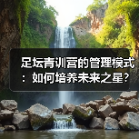 足坛青训营的管理模式:如何培养未来之星?-图3 足坛青训营的管理模式:如何培养未来之星?-图3