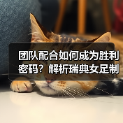 团队配合如何成为胜利密码？解析瑞典女足制胜之道-图4