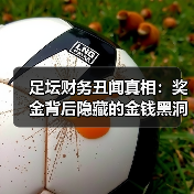 足坛财务丑闻真相:奖金背后隐藏的金钱黑洞-图3 足坛财务丑闻真相:奖金背后隐藏的金钱黑洞-图3