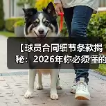新闻-图14 新闻-图14