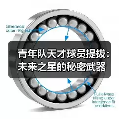 新闻-图12 新闻-图12