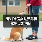 新闻-图6 新闻-图6
