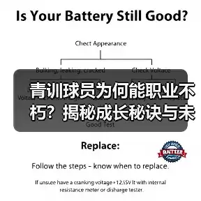 新闻-图3 新闻-图3