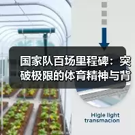 新闻-图11 新闻-图11