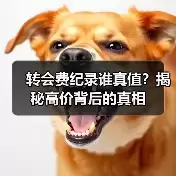 新闻-图16 新闻-图16