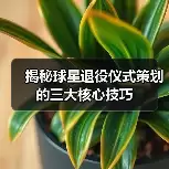 新闻-图12