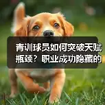 新闻-图12 新闻-图12