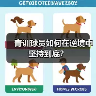 新闻-图16 新闻-图16