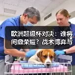 新闻-图11 新闻-图11
