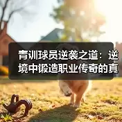 新闻-图12 新闻-图12
