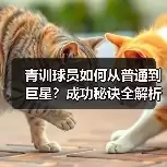 新闻-图14 新闻-图14