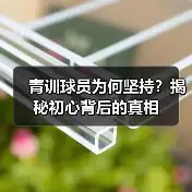 新闻-图12 新闻-图12