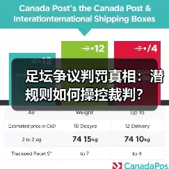 新闻-图12 新闻-图12