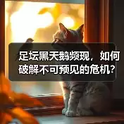 新闻-图13 新闻-图13
