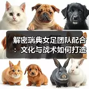 新闻-图15 新闻-图15