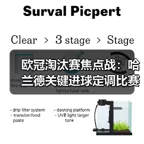 新闻-图13